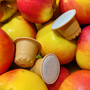 WOOD CAPSULES FORTE BIO & FAIRTRADE